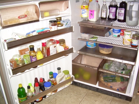Interior of Karen Falk's fridge